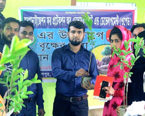 Tree Plantations Service - OPED Bangladesh